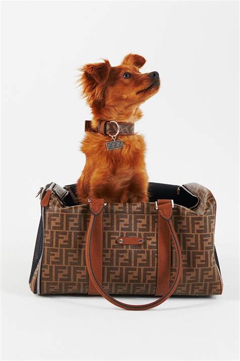 fendi pet collection|fendi italia.